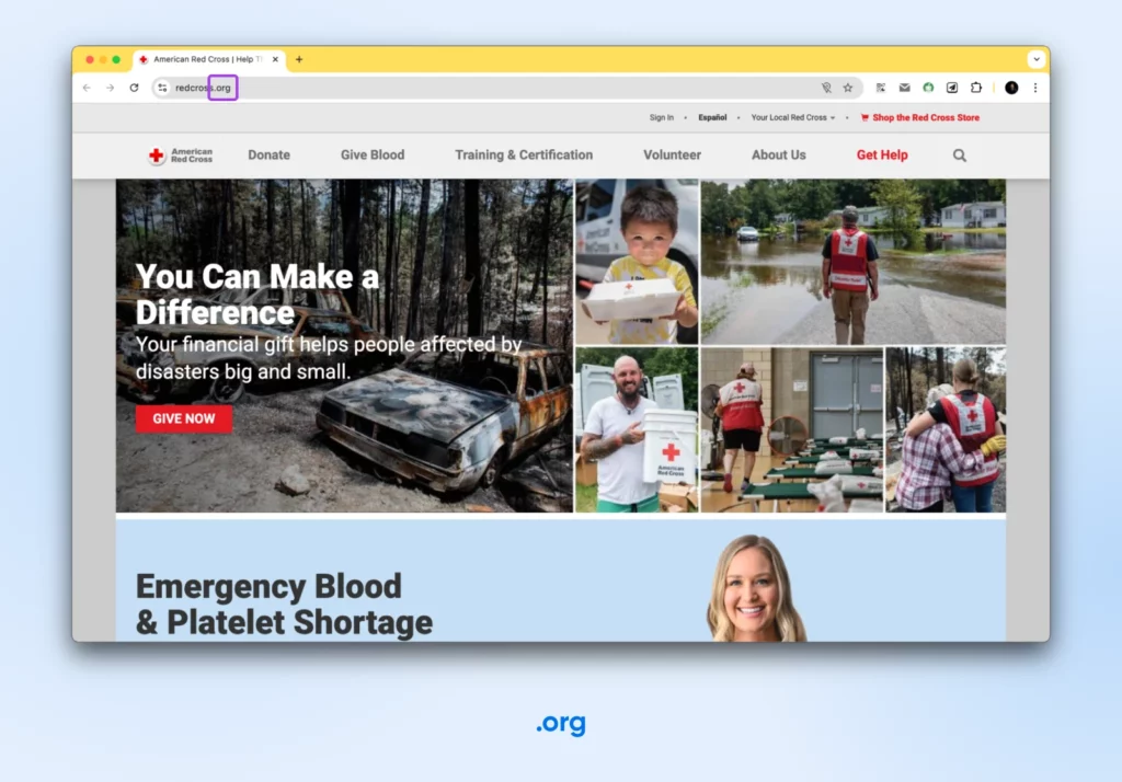 скриншот redcross.org с выделенным .org. Заголовок "Вы можете сделать разницу"